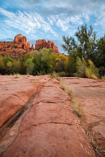 Arizona-Sedona-Red Rock State Park-Cathedral Rock